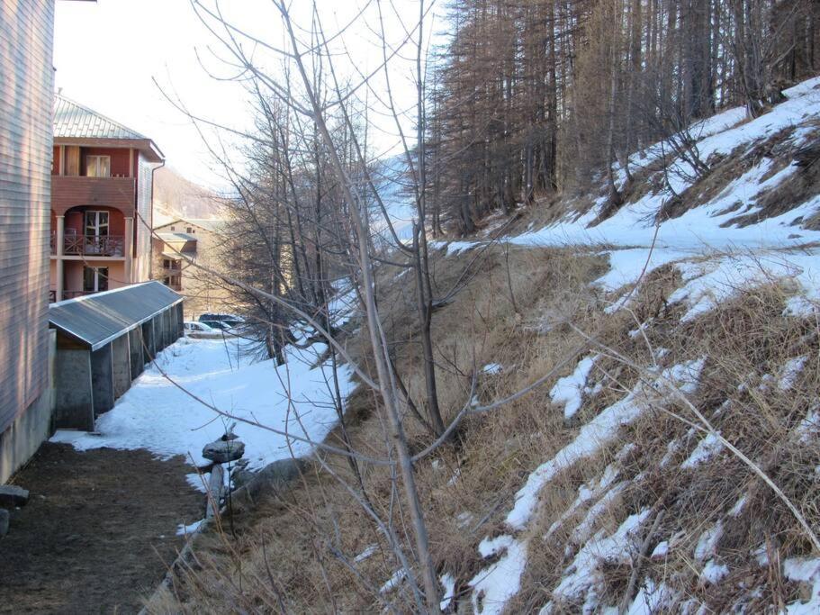 Appartement Moderne Avec Coin Montagne La Vallée Blanche 2 La Foux D Allos